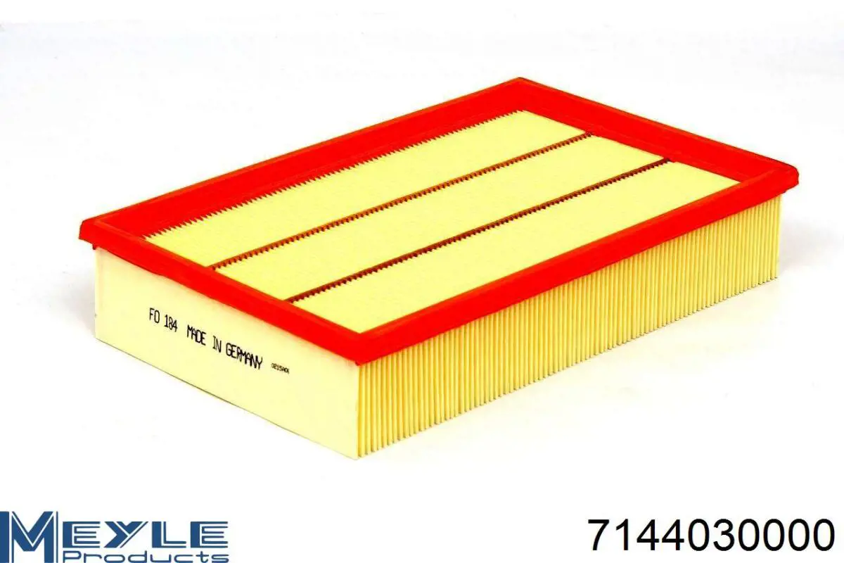 Filtro de gasoil Ford T304690