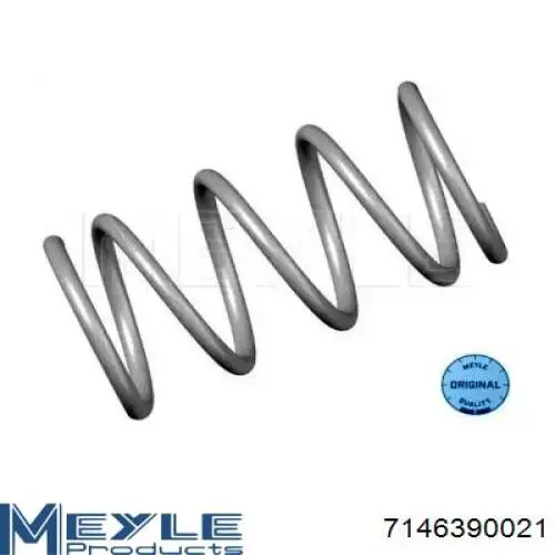 Muelle delantero Raiso SF201TP precio, desde 48,59 EUR