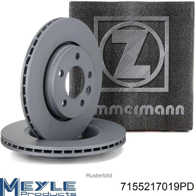 Freno de disco delantero Jaguar X-type CF1