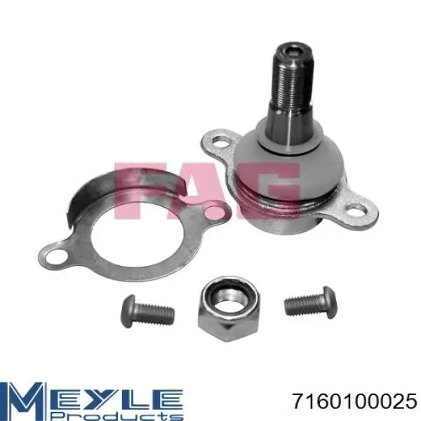 Comprar 2192439 Ford Rótula inferior de suspensión