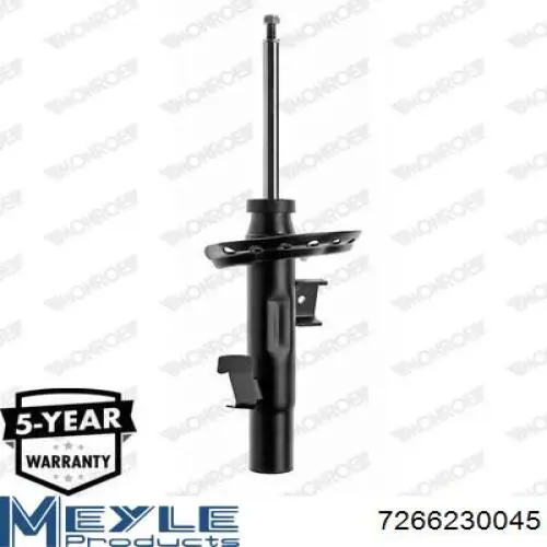 Amortiguador delantero izquierdo RS313748 Raiso