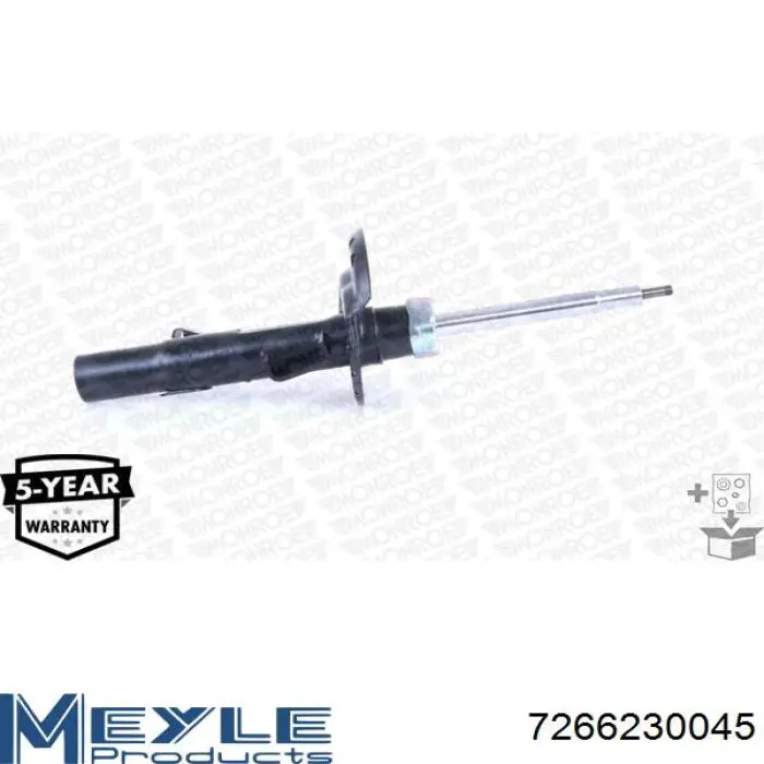 RS313748 Raiso Amortiguador frontal izquierdo