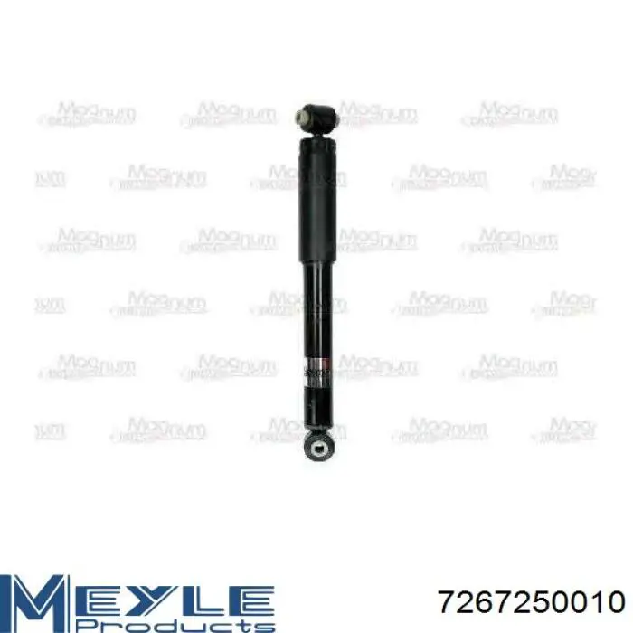 Amortiguador trasero RS315303 Raiso