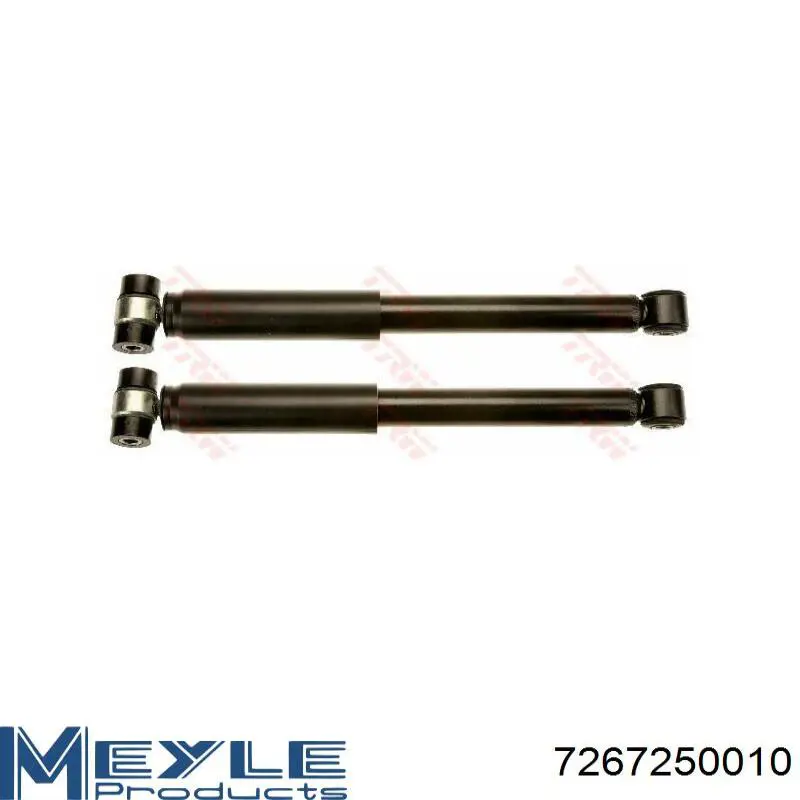 Amortiguador trasero Raiso RS315303 precio, desde 17,84 EUR
