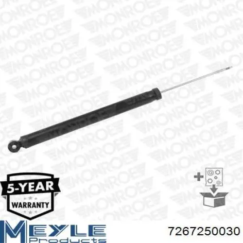 Amortiguador trasero RS315515 Raiso