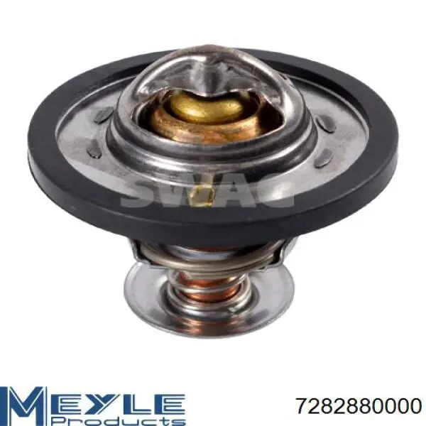 Termostato refrigerante Ford 6169774