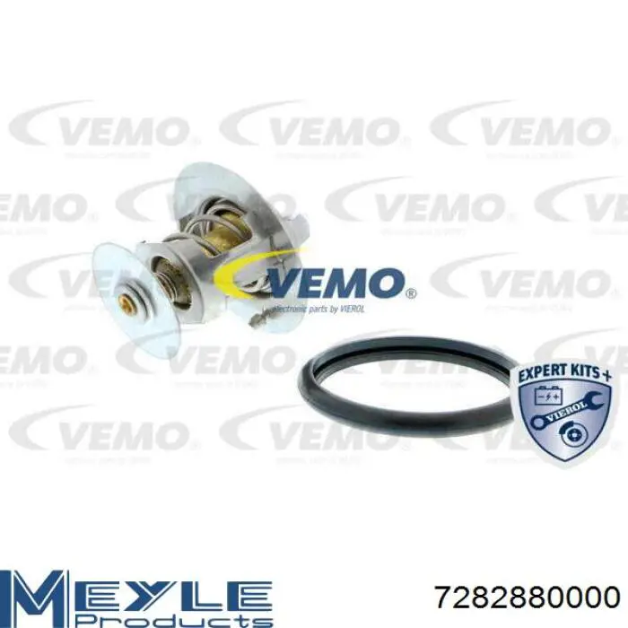 6169774 Ford Termostato de agua