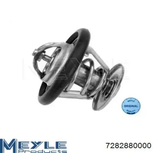 Termostato Ford 6169774 precio, desde 8,16 EUR