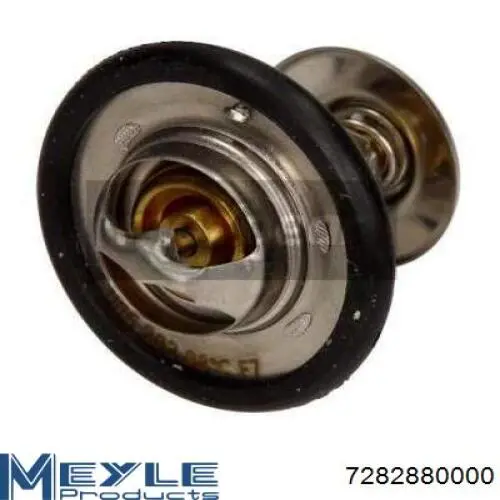 Comprar 6169774 Ford Termostato