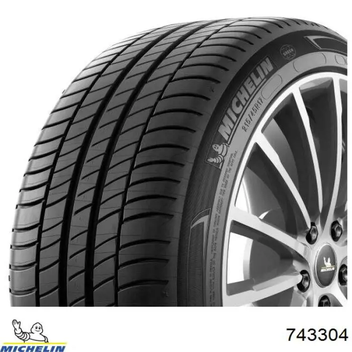 Comprar 743304 Michelin Neumáticos para todas las estaciones