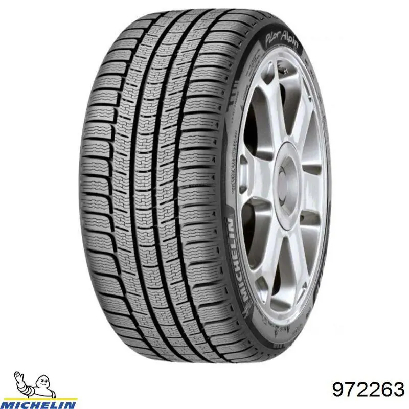 Neumáticos de invierno Pirelli 2391100 precio, desde 434,27 EUR