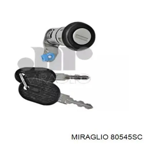 Cilindro de cerradura de la puerta delantera derecha GP500328054 GP