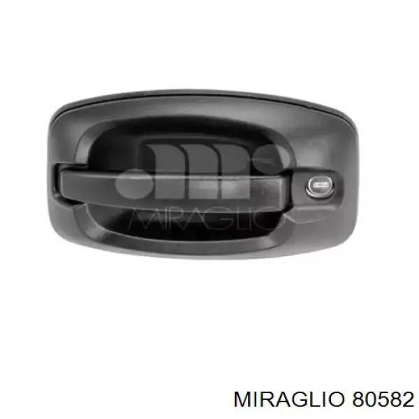 Tirador de puerta exterior delantero izquierda Citroen Jumper (250)