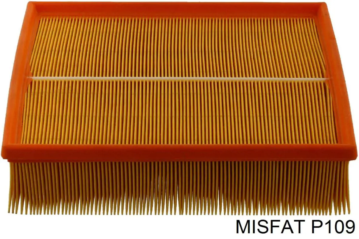 Filtro de aire P109 Misfat