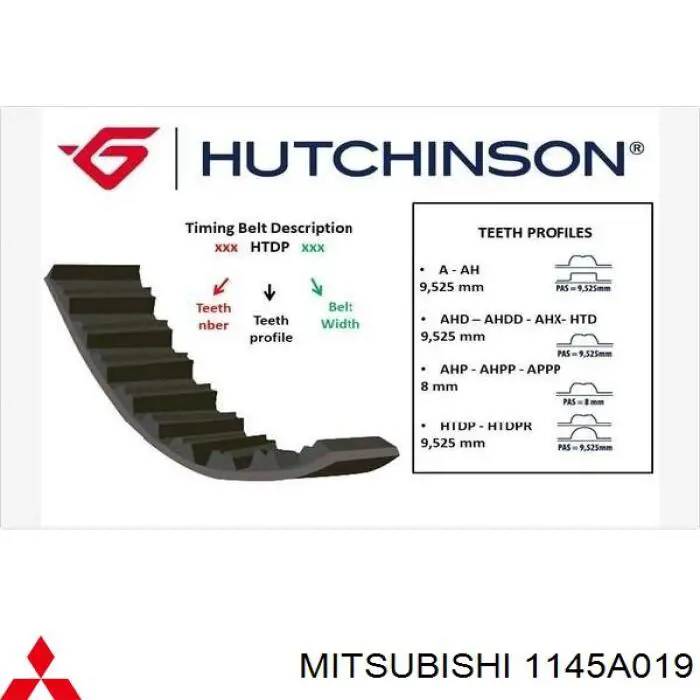 Correa distribución 1145A019 Mitsubishi