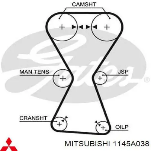 Correa de distribución Mitsubishi 1145A038 precio, desde 32,04 EUR