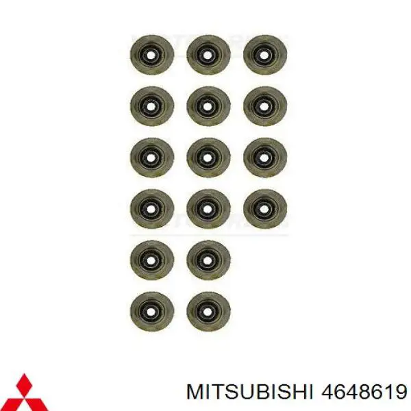 4648619 Mitsubishi sello de aceite de valvula (rascador de aceite Entrada/Salida Kit De Motor)