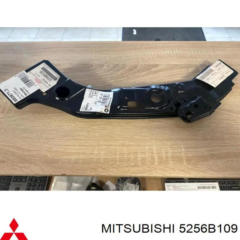 Soporte izquierdo del radiador (panel de montaje de faros) Mitsubishi 5256B109 precio, desde 60,97 EUR