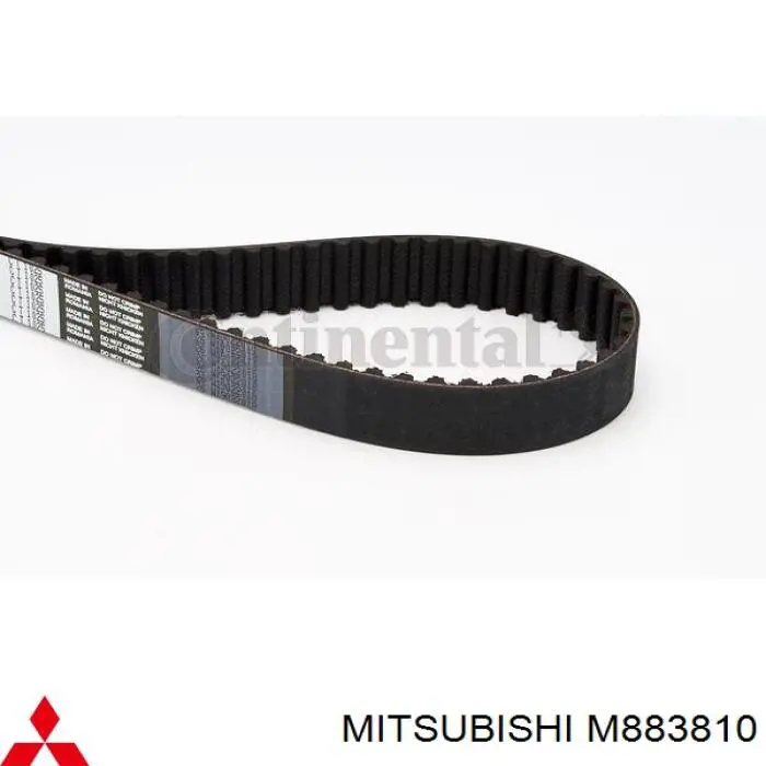 Correa distribución M883810 Mitsubishi