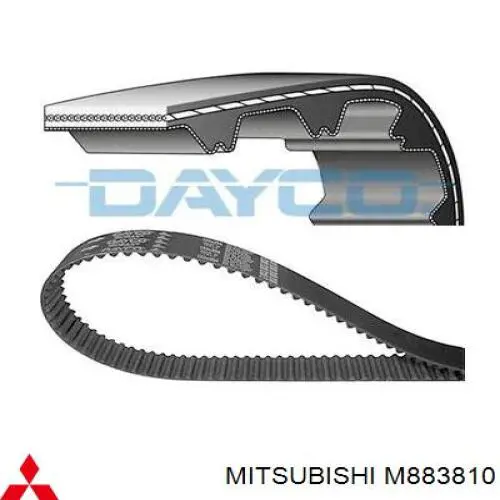Correa de distribución Mitsubishi M883810