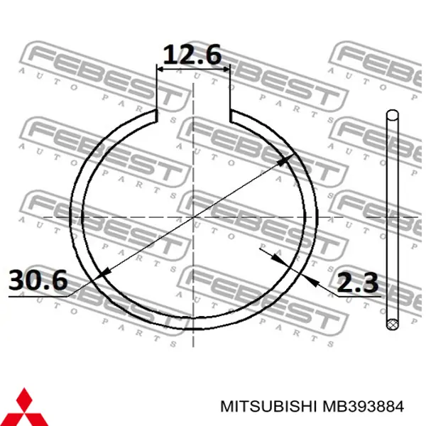 Anillo de retención del cojinete de la rueda delantera Mitsubishi MB393884 precio, desde 2,33 EUR