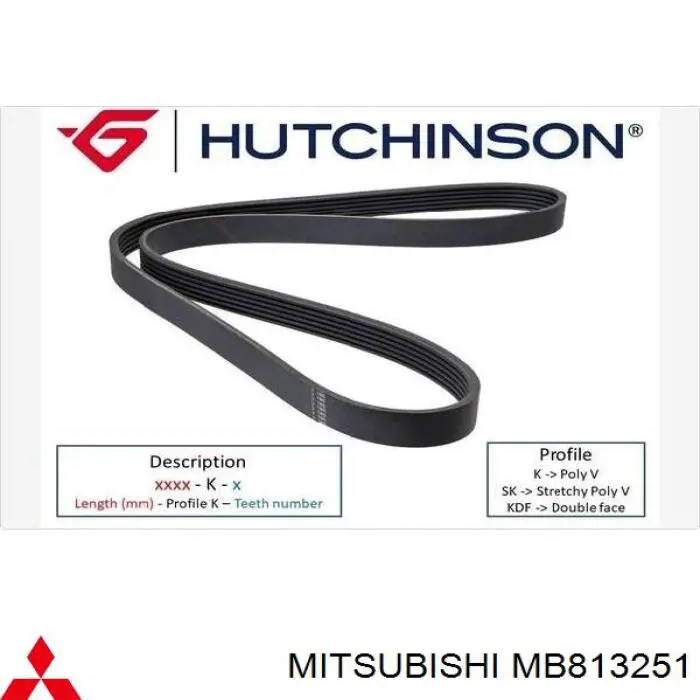 Correa de alternador MB813251 Mitsubishi