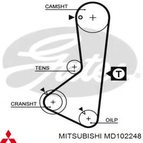 MD102248 Mitsubishi correa distribucion