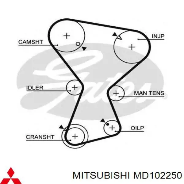 MD102250 Mitsubishi correa distribucion