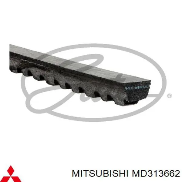 MD313662 Mitsubishi correa trapezoidal