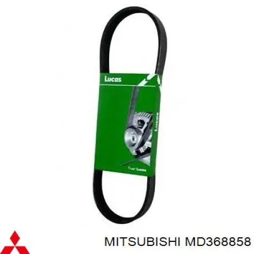 Correa de alternador MD368858 Mitsubishi