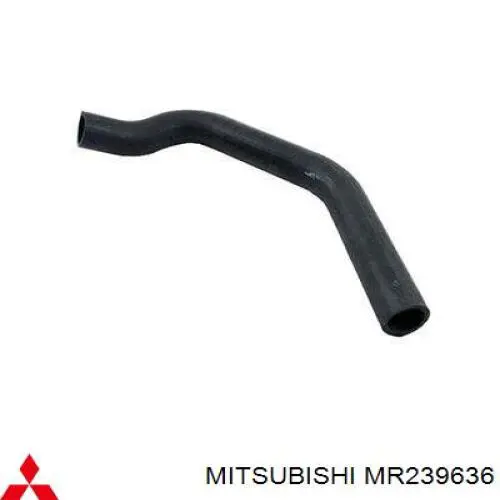 Comprar MR239636 Mitsubishi Manguera inferior del radiador
