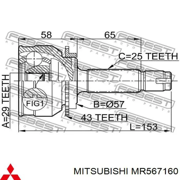 MR567160 Mitsubishi junta homocinética exterior delantera