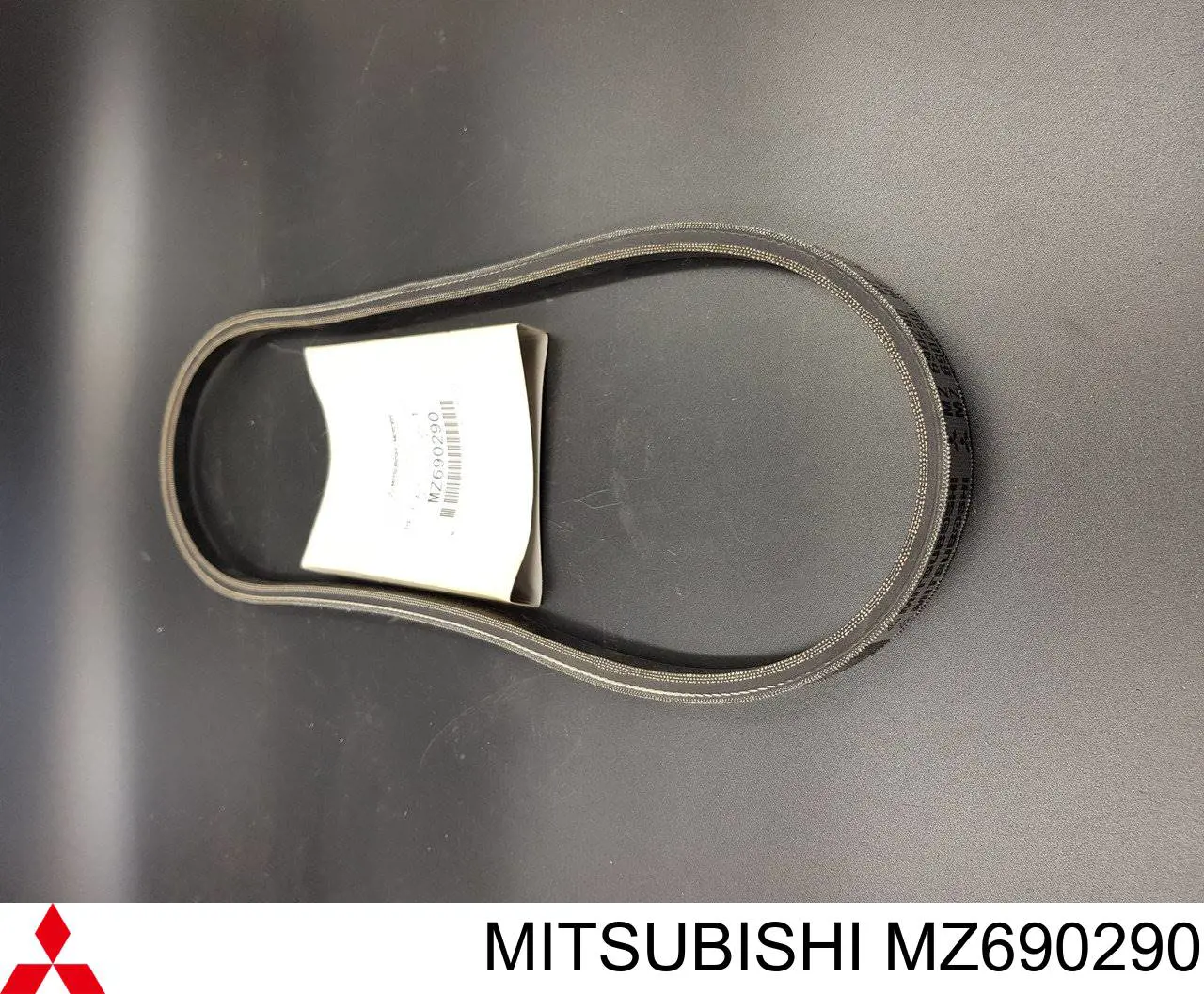 MZ690290 Mitsubishi correa trapezoidal