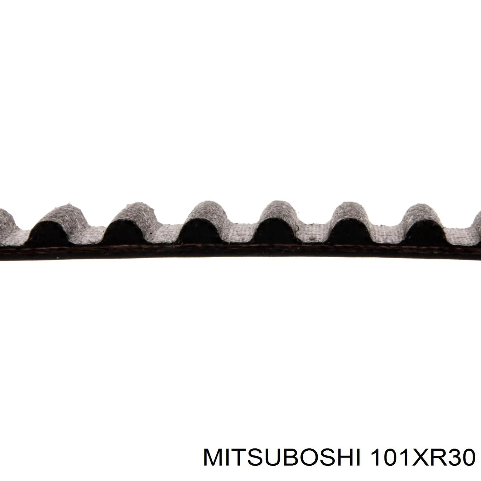 101XR30 Mitsuboshi correa distribucion