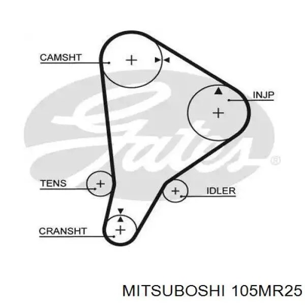 105MR25 Mitsuboshi correa distribución