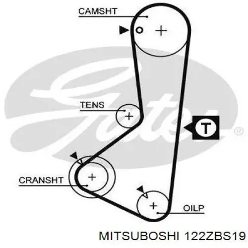 Comprar 122ZBS19 Mitsuboshi Correa distribución
