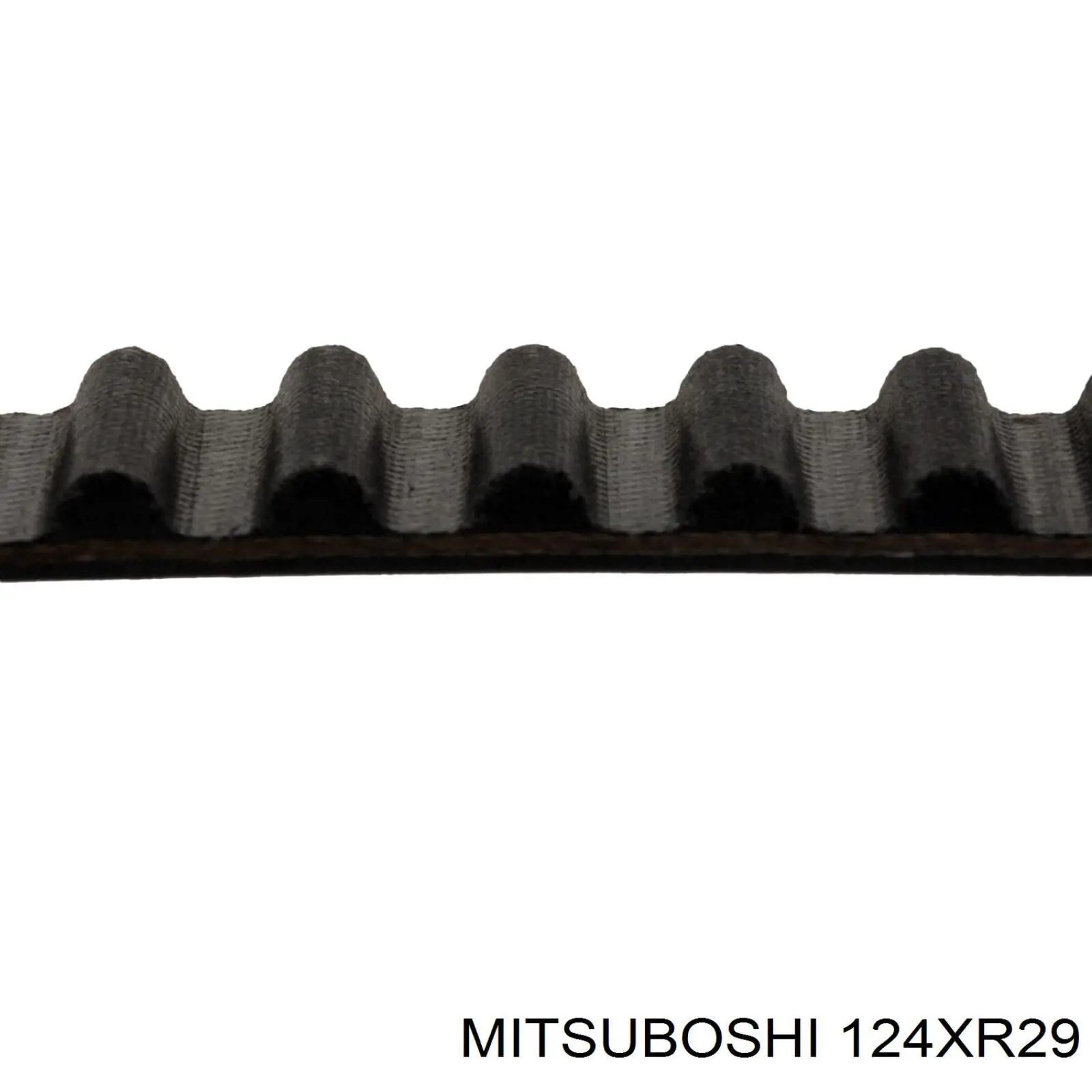 Correa de distribución Mitsuboshi 124XR29 precio, desde 31,55 EUR