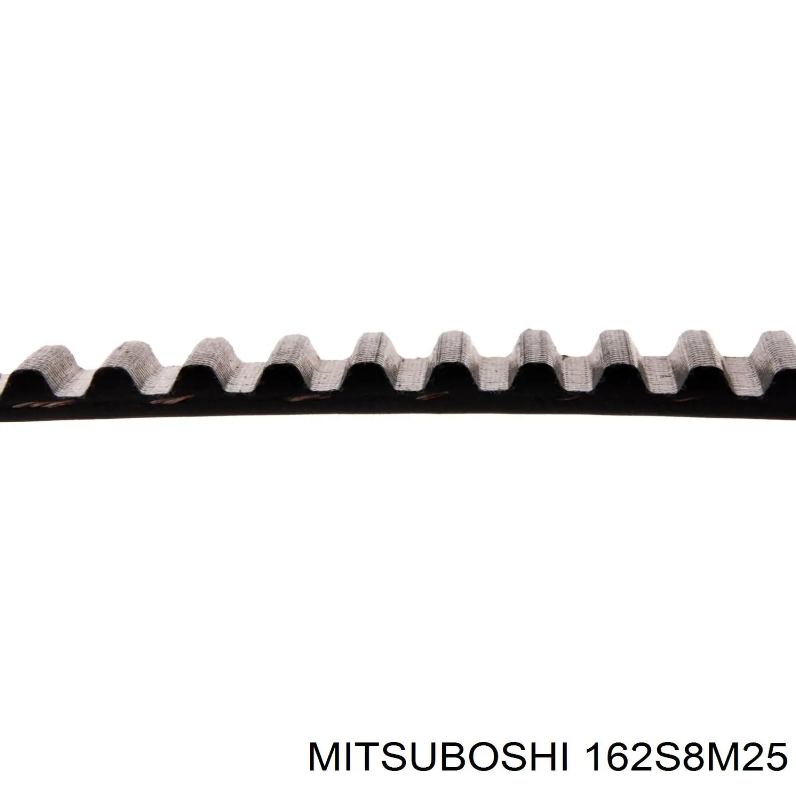 Correa distribución 162S8M25 Mitsuboshi