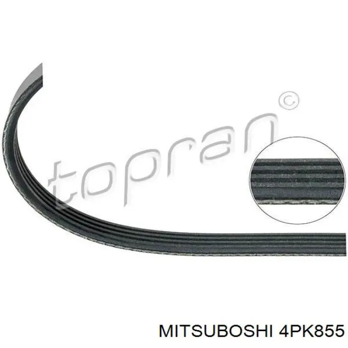 Correa de transmisión trapezoidal Mitsuboshi 4PK855 precio, desde 7,80 EUR
