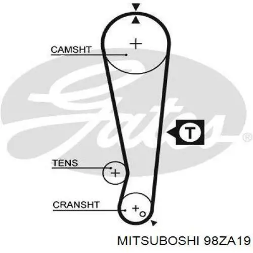 Correa distribución 98ZA19 Mitsuboshi