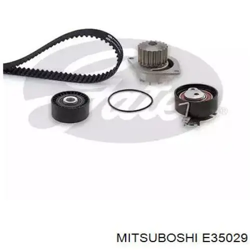 MD369963 Mitsubishi Correa dentada