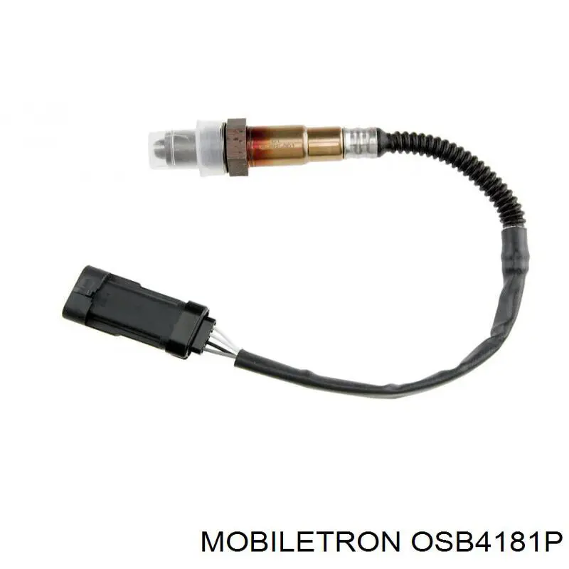 OSB4181P Mobiletron sonda lambda, sensor de oxígeno antes del catalizador derecho