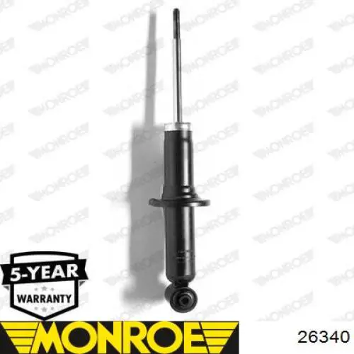 Amortiguador trasero Raiso RS556281 precio, desde 45,99 EUR