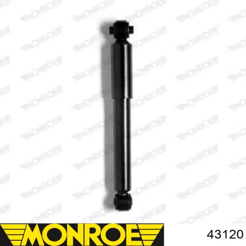 Amortiguador trasero Raiso RS317341 precio, desde 30,33 EUR