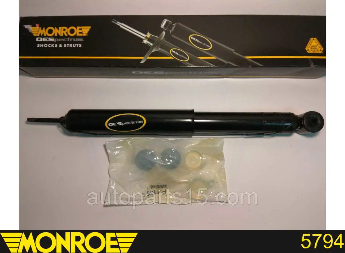5794 Monroe Amortiguadores posteriores