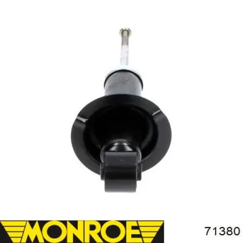 Amortiguador trasero RS316880 Raiso