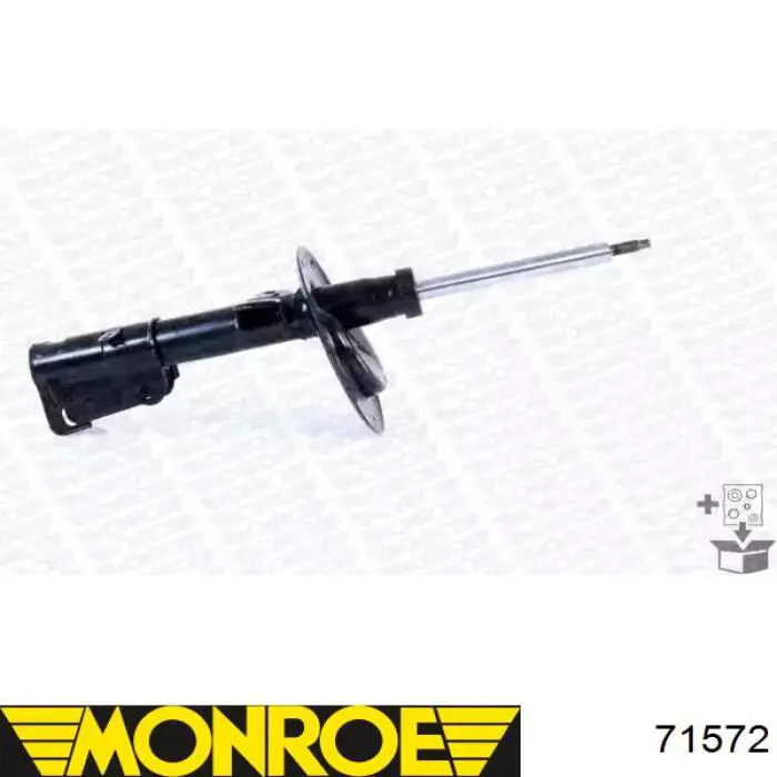 Comprar RS310202 Raiso Amortiguador