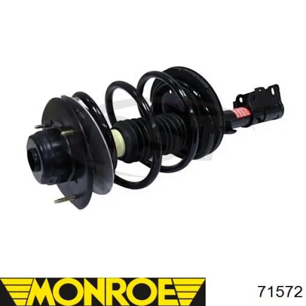 Amortiguadores Raiso RS310202 precio, desde 60,77 EUR