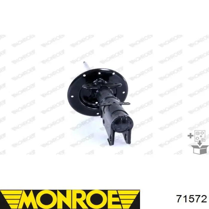 Amortiguador RS310202 Raiso