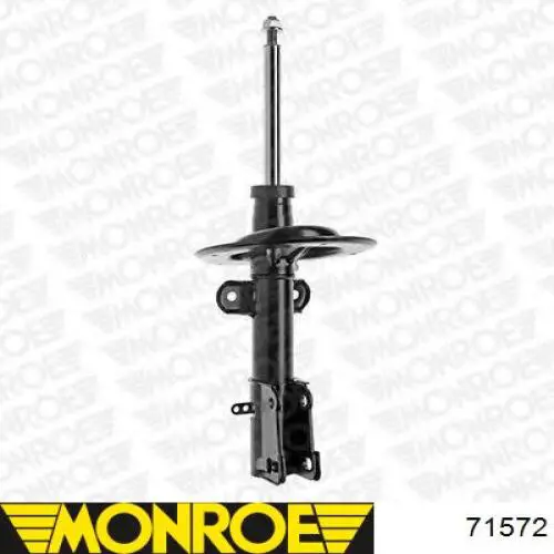 RS310202 Raiso Amortiguador frontal